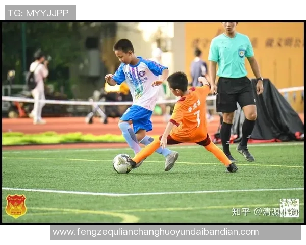 两岸足球球星的风采与影响力对比分析